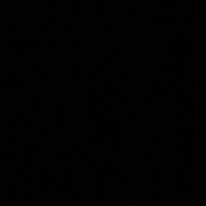 Meet your Posher, Nikko